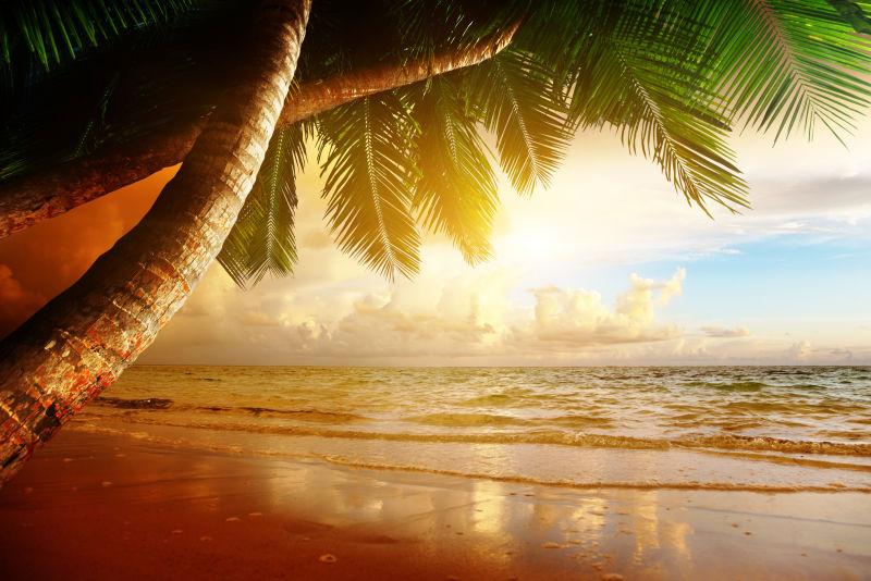 加勒比海滩日出