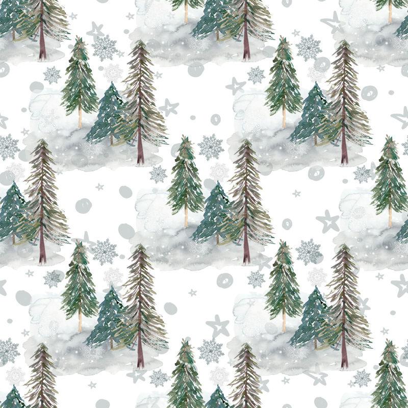 云杉森林笼罩在雾中