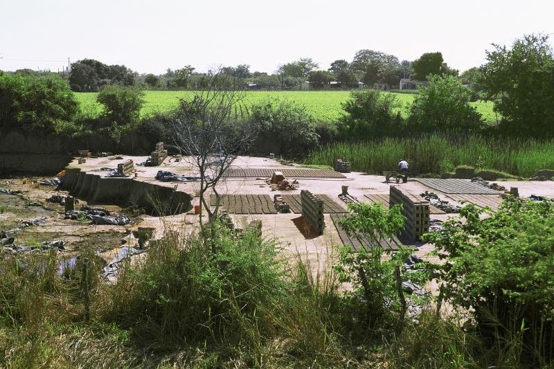 墨西哥农作物的收成与晾晒