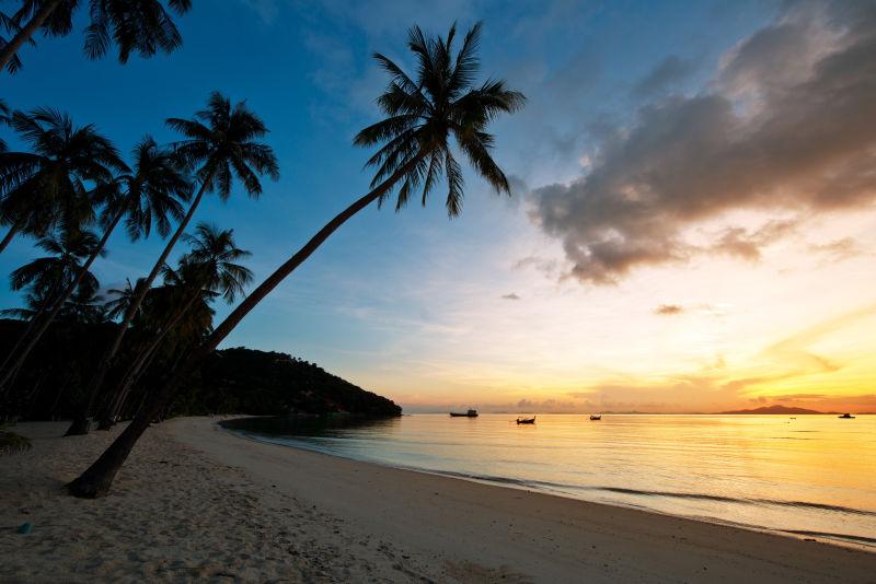 美丽的日出在海滩与棕榈