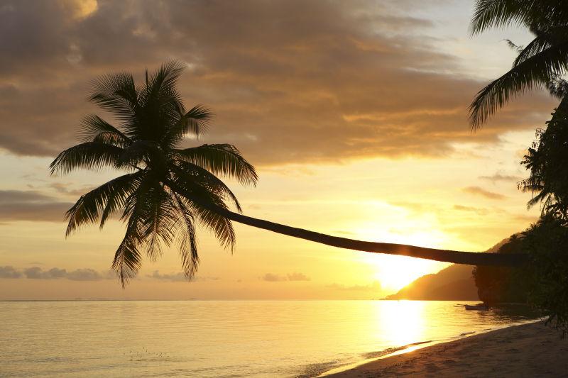热带岛屿海滩日落棕榈树