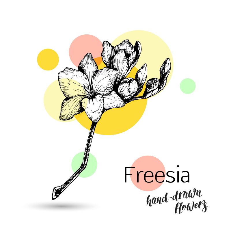 白色花卡片矢量