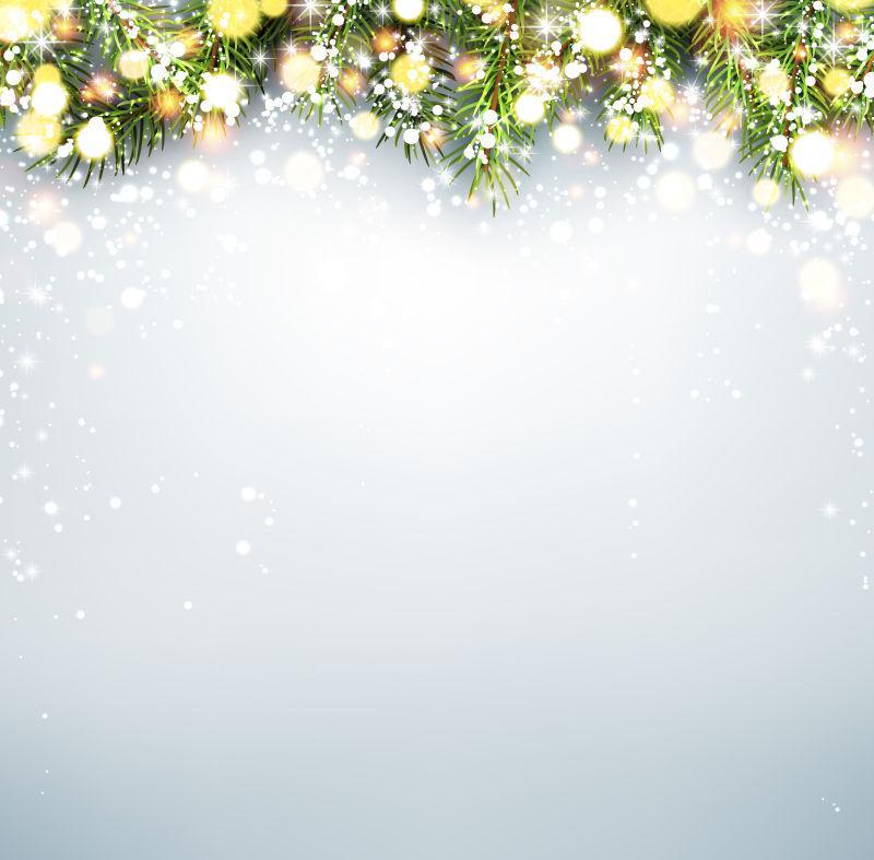 绿色的枞树枝矢量插图