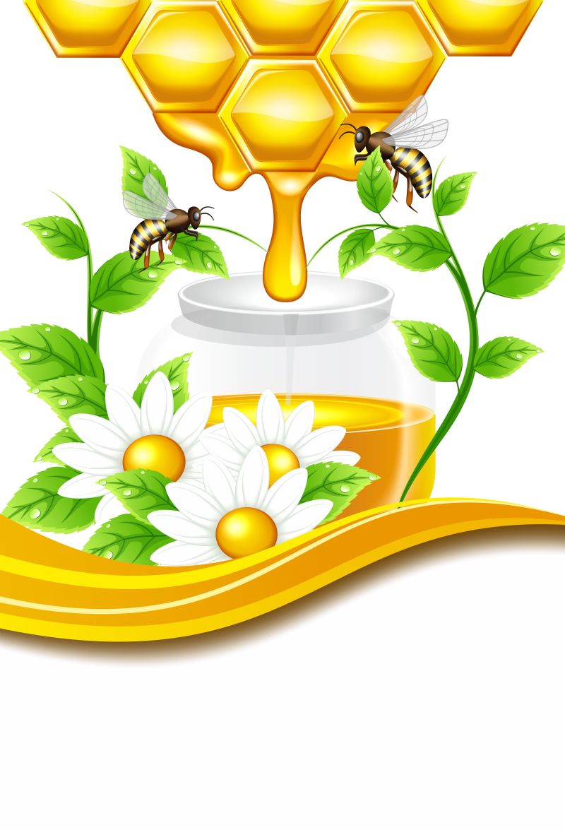 金黄色的蜂蜜矢量