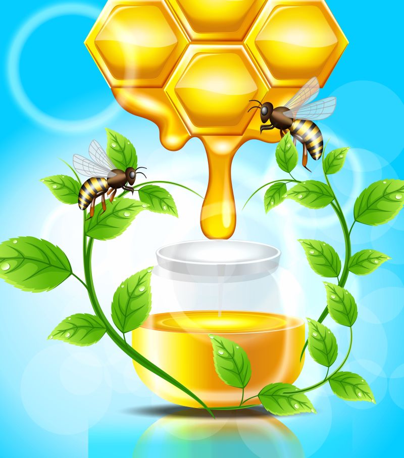 围着蜂蜜的藤叶矢量