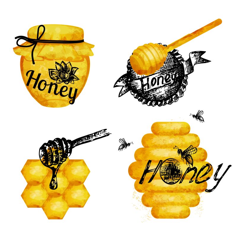 蜂蜜核桃仁矢量图图片