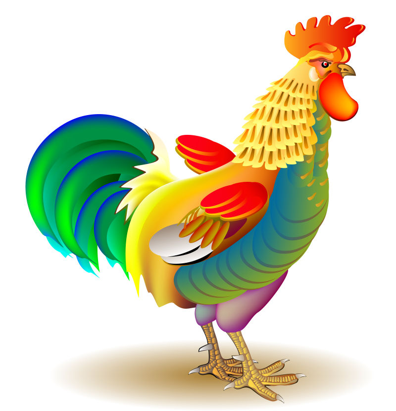 矢量卡通形象彩色公鸡
