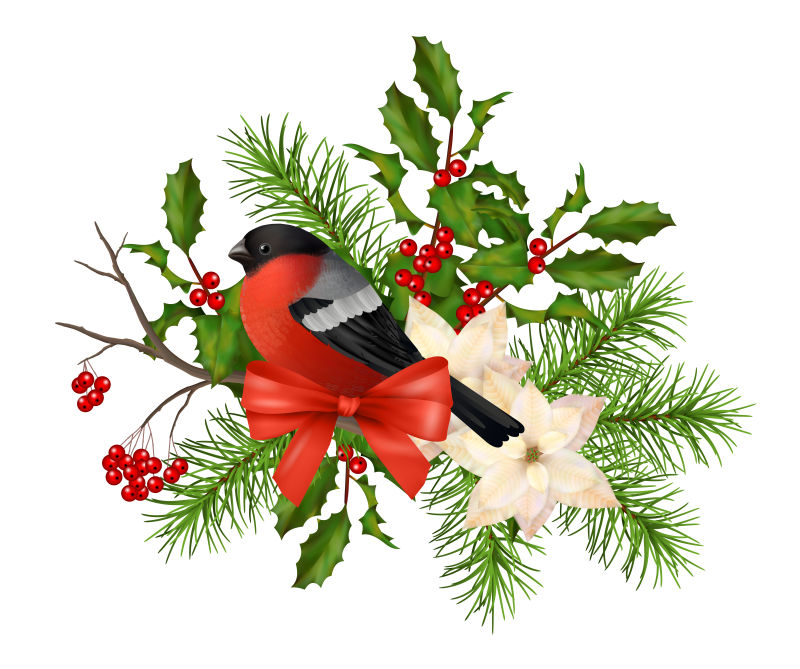 白色的矢量圣诞节红色浆果和红腹鸟儿贺卡设计