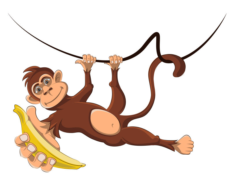 矢量卡通猴子在藤蔓上手里拿着香蕉