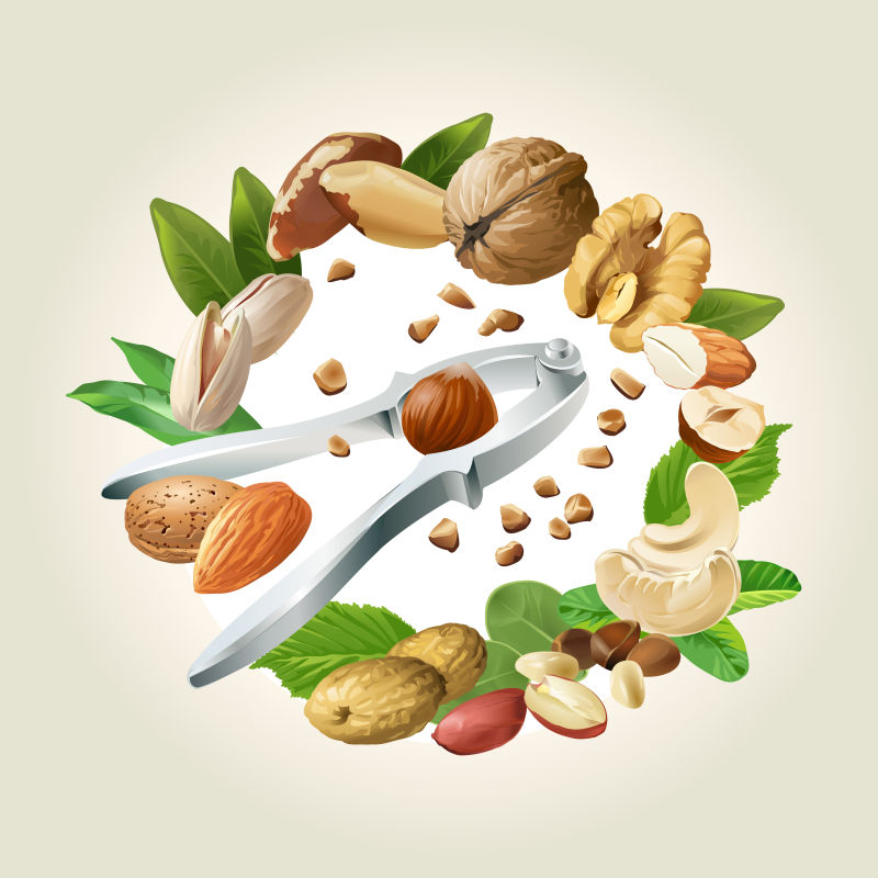 美味坚果矢量插图