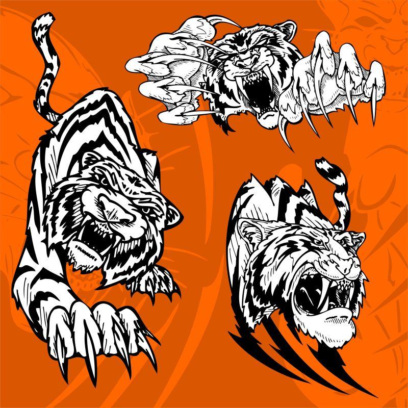 矢量老虎捕食者