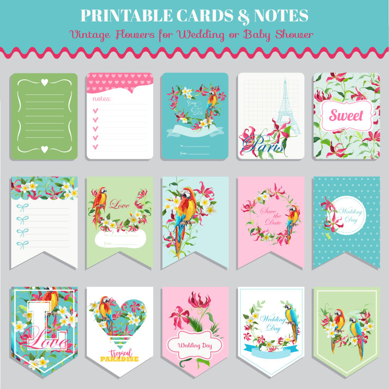 创意矢量热带花卉元素卡片设计