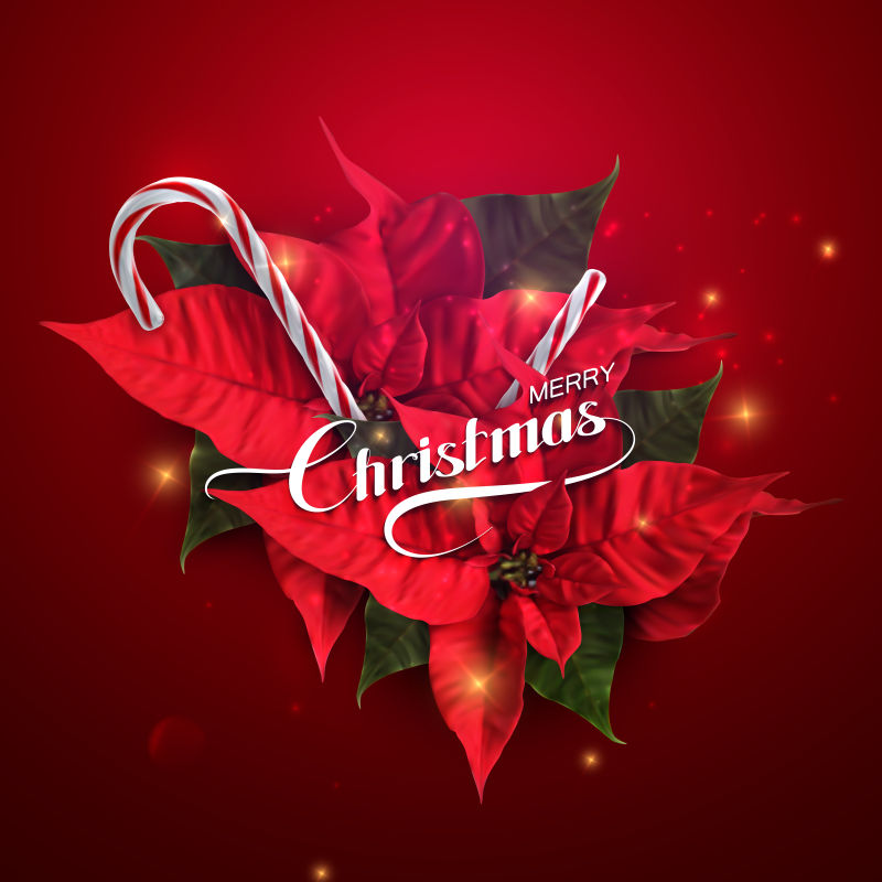 圣诞装饰糖果的矢量设计