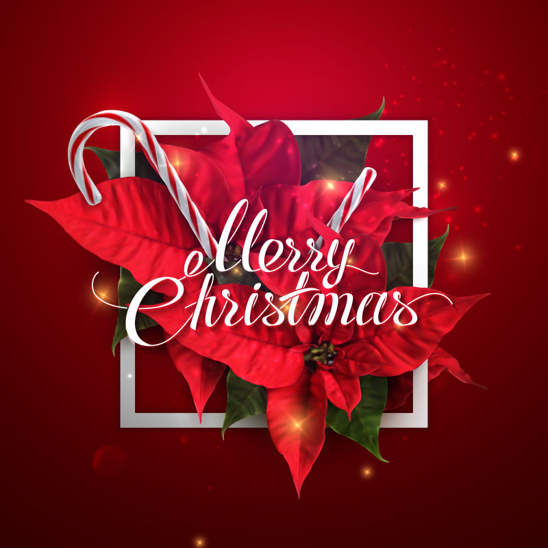 矢量设计的圣诞红花