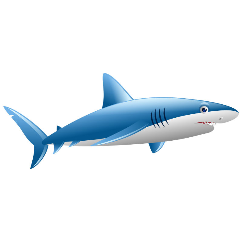 野生大白鲨卡通矢量图