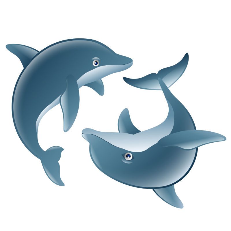 矢量海洋生物图片 两只海豚卡通矢量图素材 高清图片 摄影照片 寻图免费打包下载