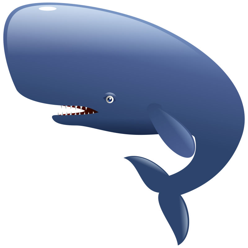 抹香鲸哺乳动物卡通矢量图