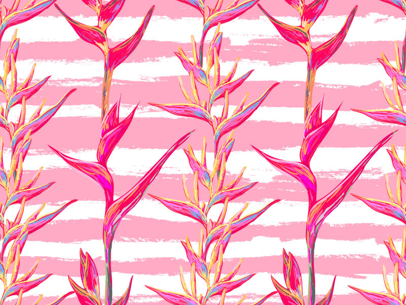 矢量的粉色热带花卉