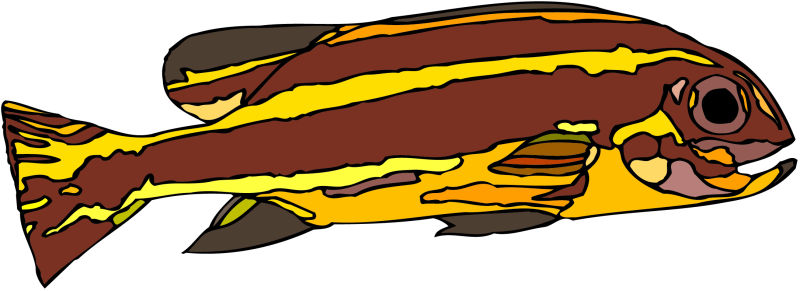石斑鱼矢量图