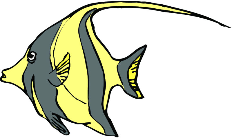 海洋鱼类矢量图