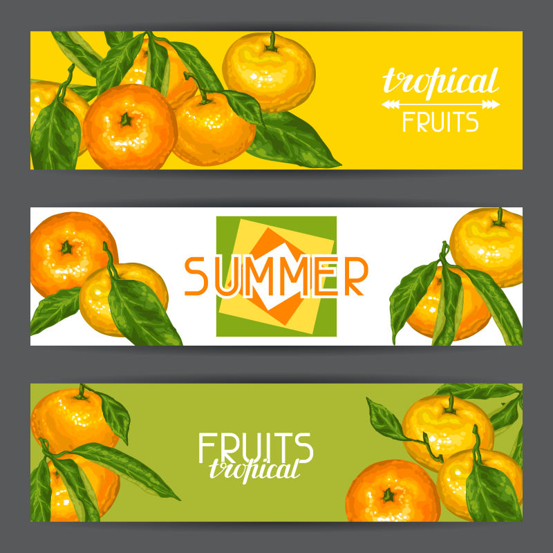 带着热带水果和树叶的旗帜矢量横幅设计