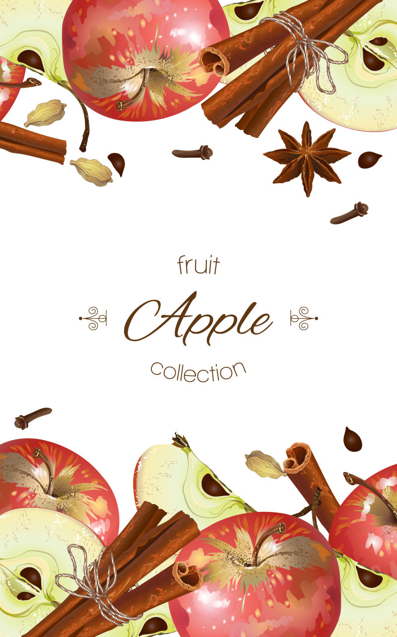 苹果和桂皮横幅设计矢量插图