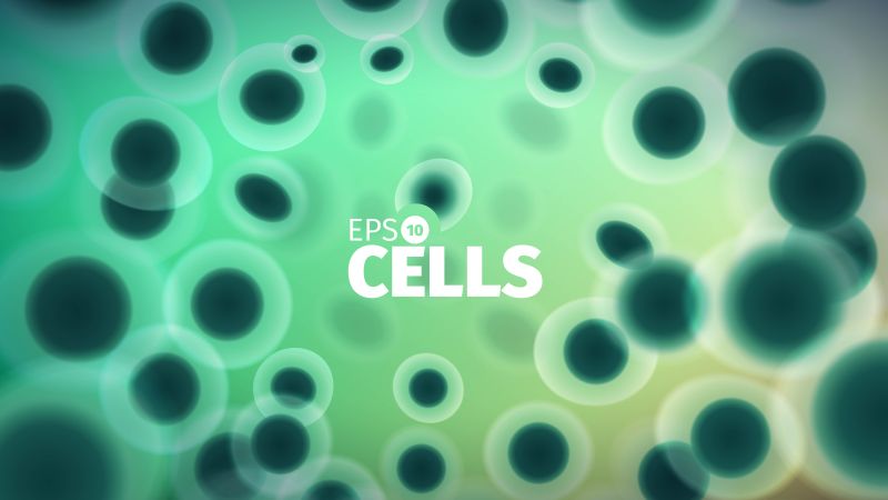 矢量抽象生物细胞背景