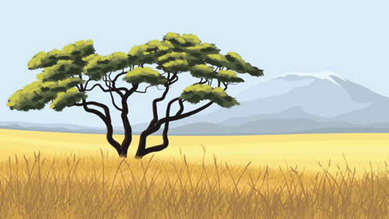 非洲草原图画图片
