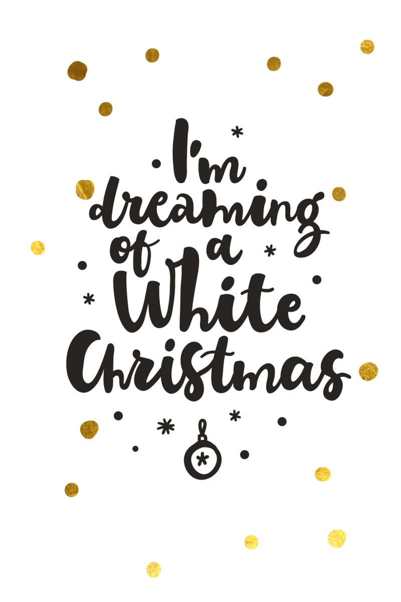 圣诞节庆祝矢量