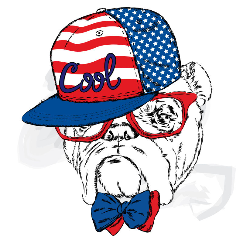 带着时尚帽子的斗牛犬矢量卡通插图