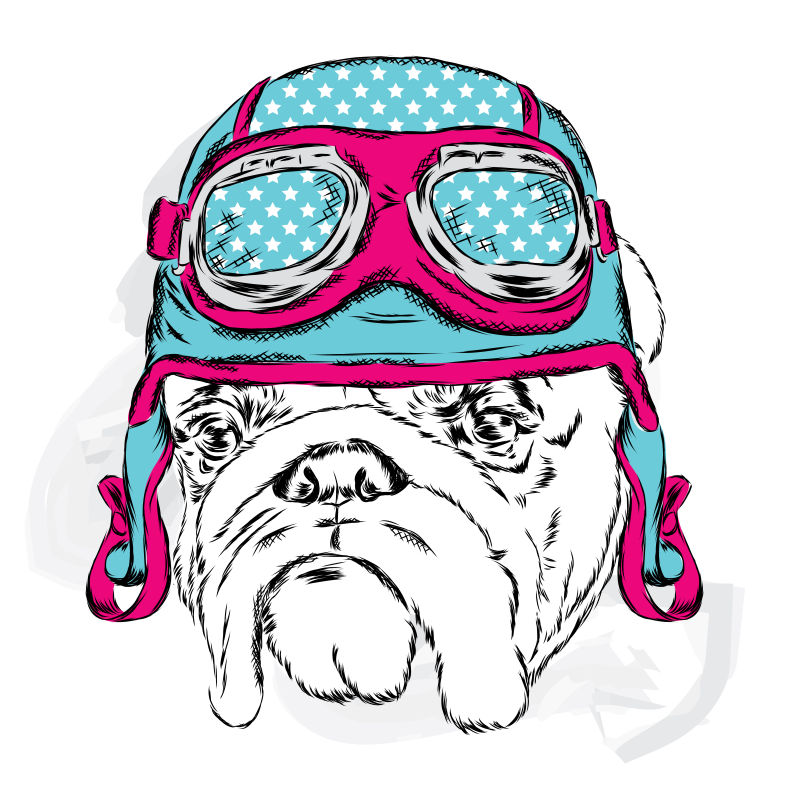 矢量卡通斗牛犬设计插图