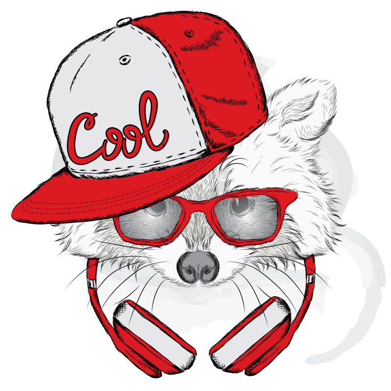 矢量卡通浣熊设计插图