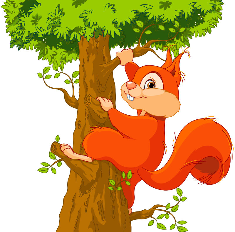 松树上的松鼠卡通图片