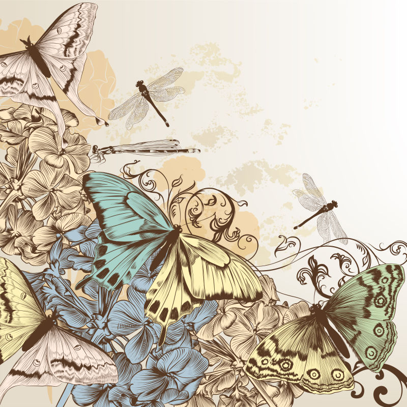 蝴蝶与花插画图片