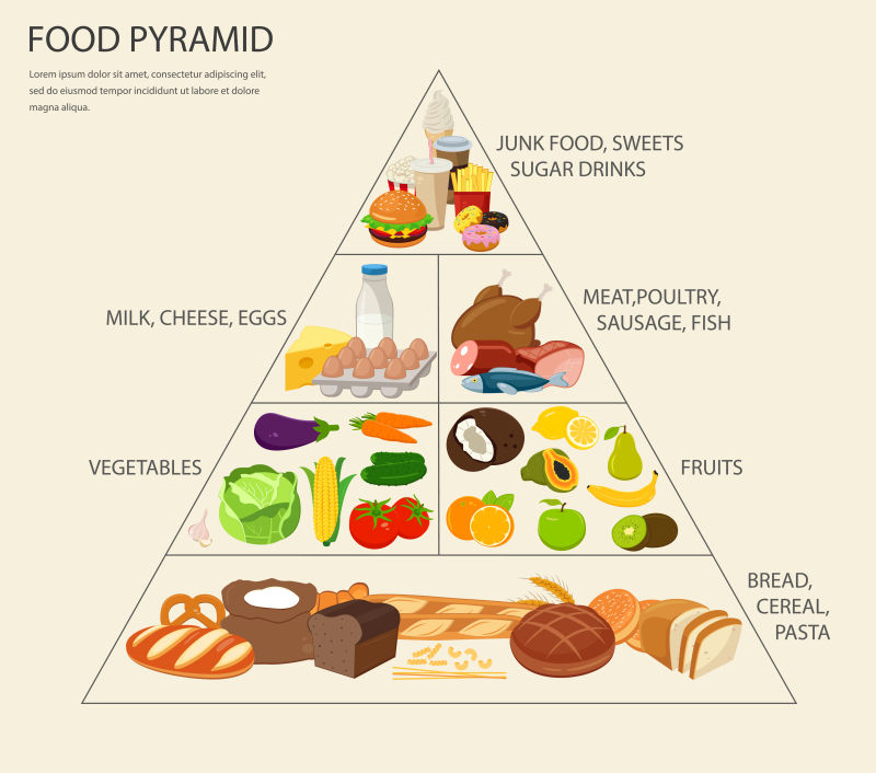 矢量健康饮食食物金字塔图示