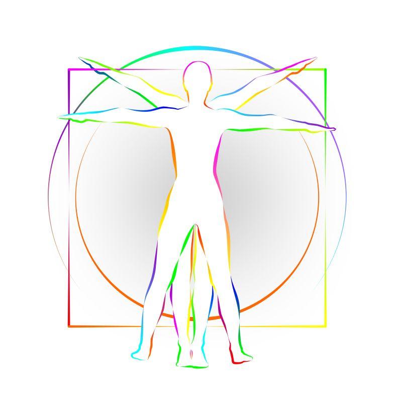 显示人体比例的经典图形矢量