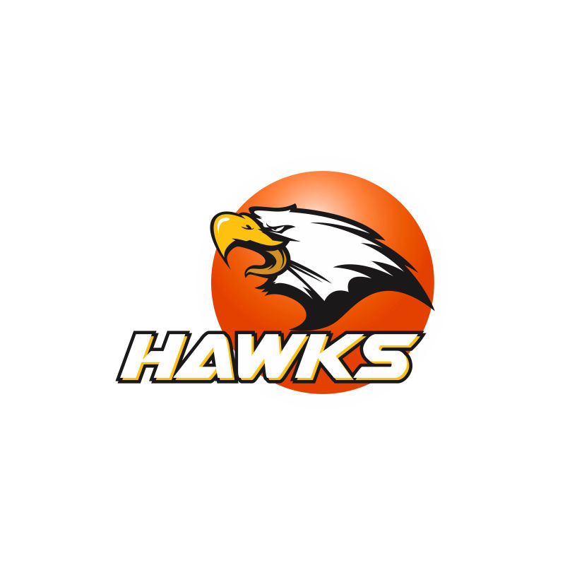 矢量橙色鹰吉祥物标志设计