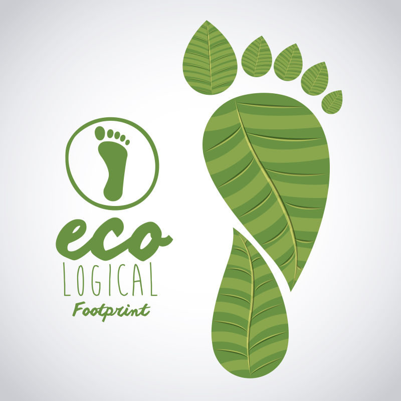 生态绿叶元素概念矢量