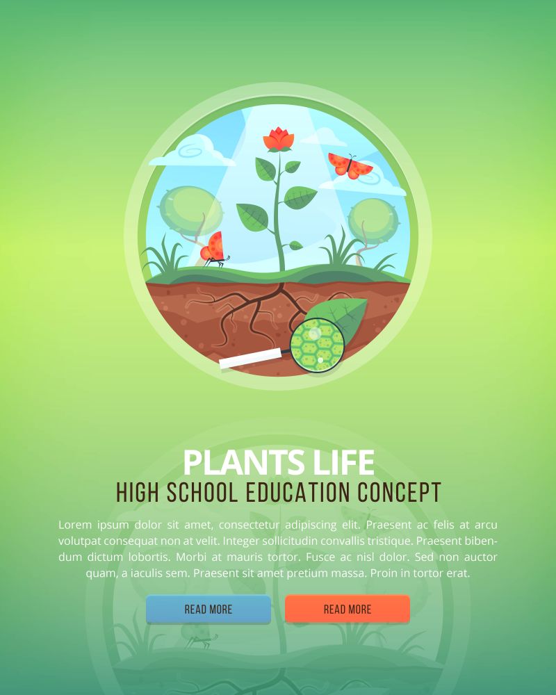 教育和科学概念插图矢量植物学