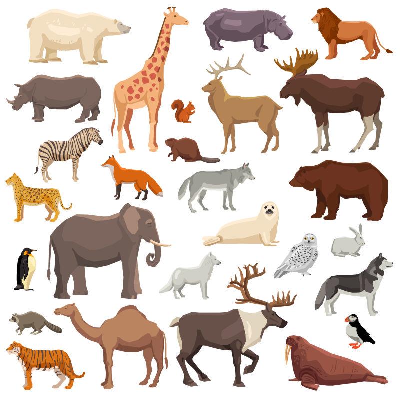矢量卡通大型野生动物和鸟类