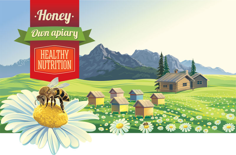 山中有蜜蜂和蜂房矢量