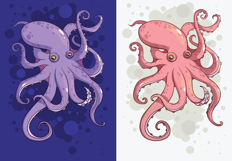 矢量两种彩色章鱼对比