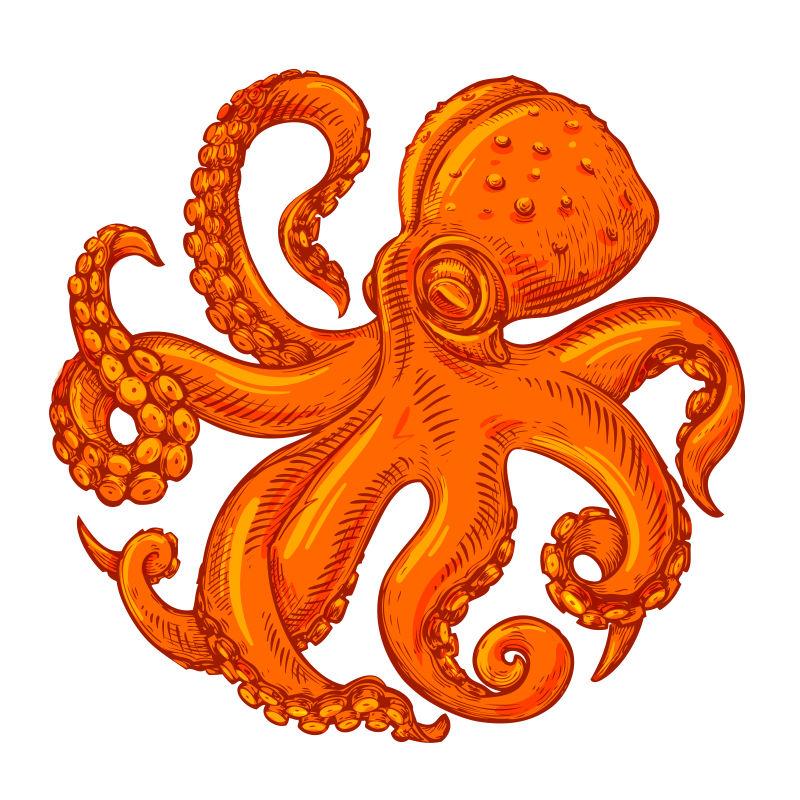 白色背景下的矢量标志章鱼