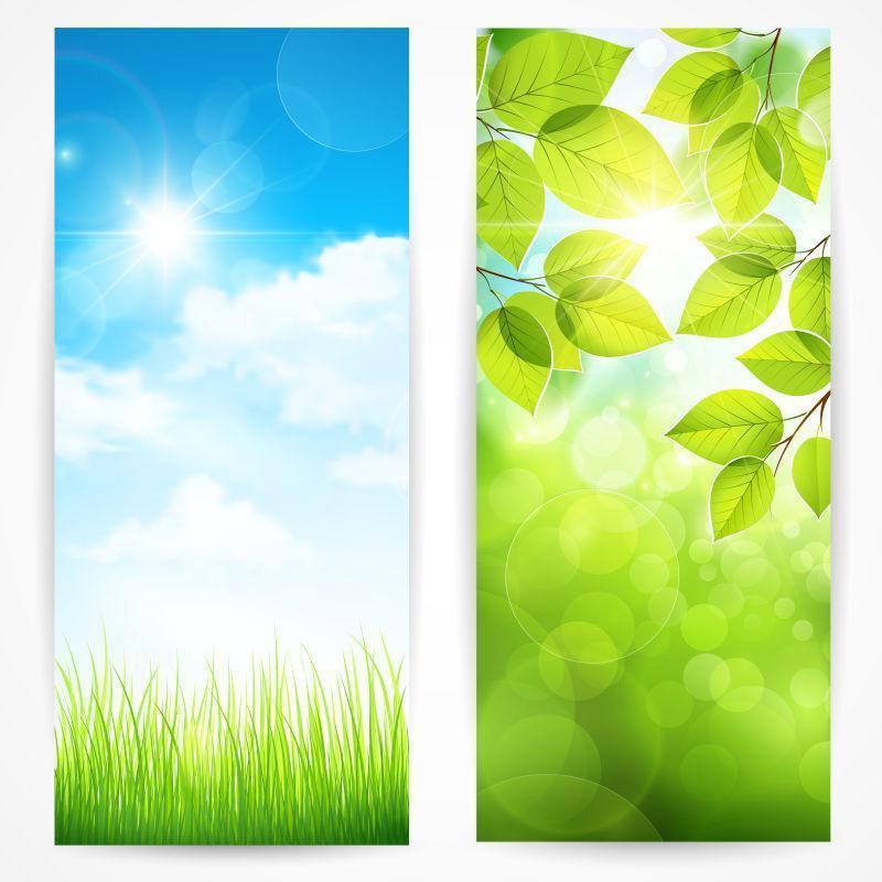 蓝天白云绿叶背景矢量图