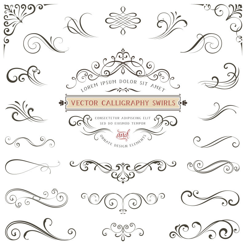 字母花纹风格矢量