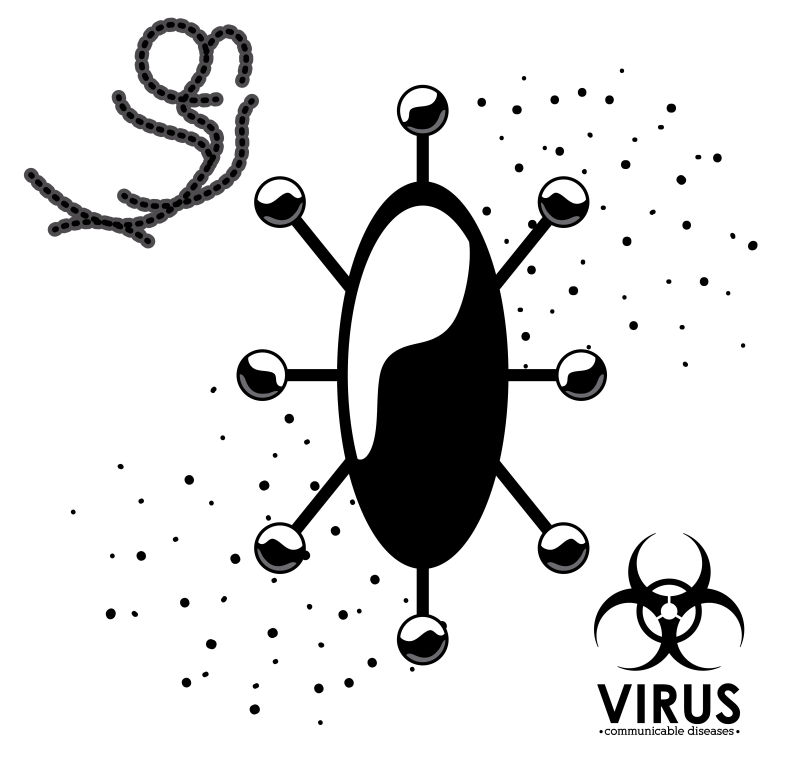 矢量病毒感染设计
