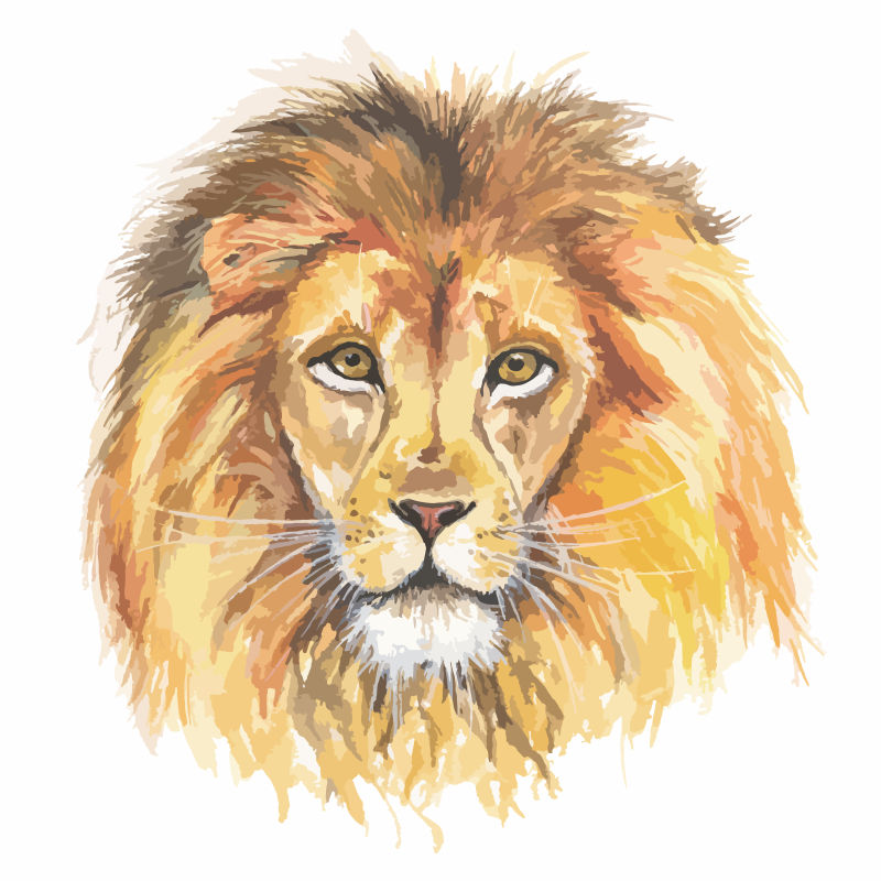 水彩狮子头矢量插图