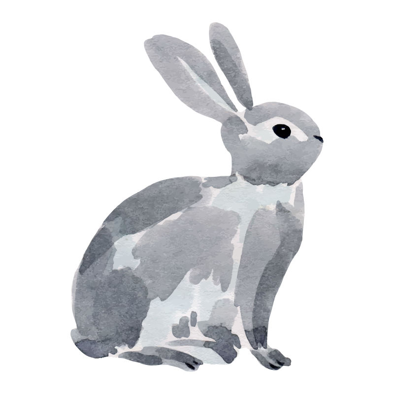 手绘水彩兔子矢量图