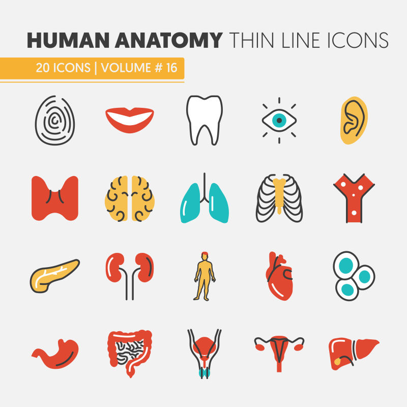 创意矢量人类器官图标设计
