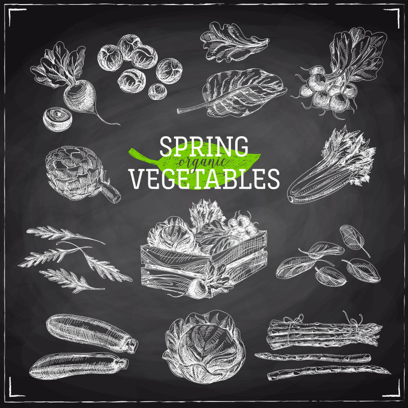 矢量绘有春菜的食品素描